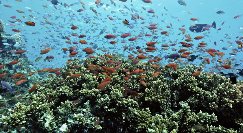 OBLU-BY-ATMOSPHERE- AT-HELENGELI-MALDIVE-AIR-TOUR-TRAVEL-13